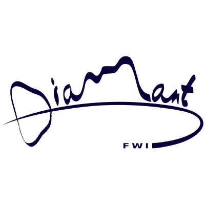 Diamant FWI